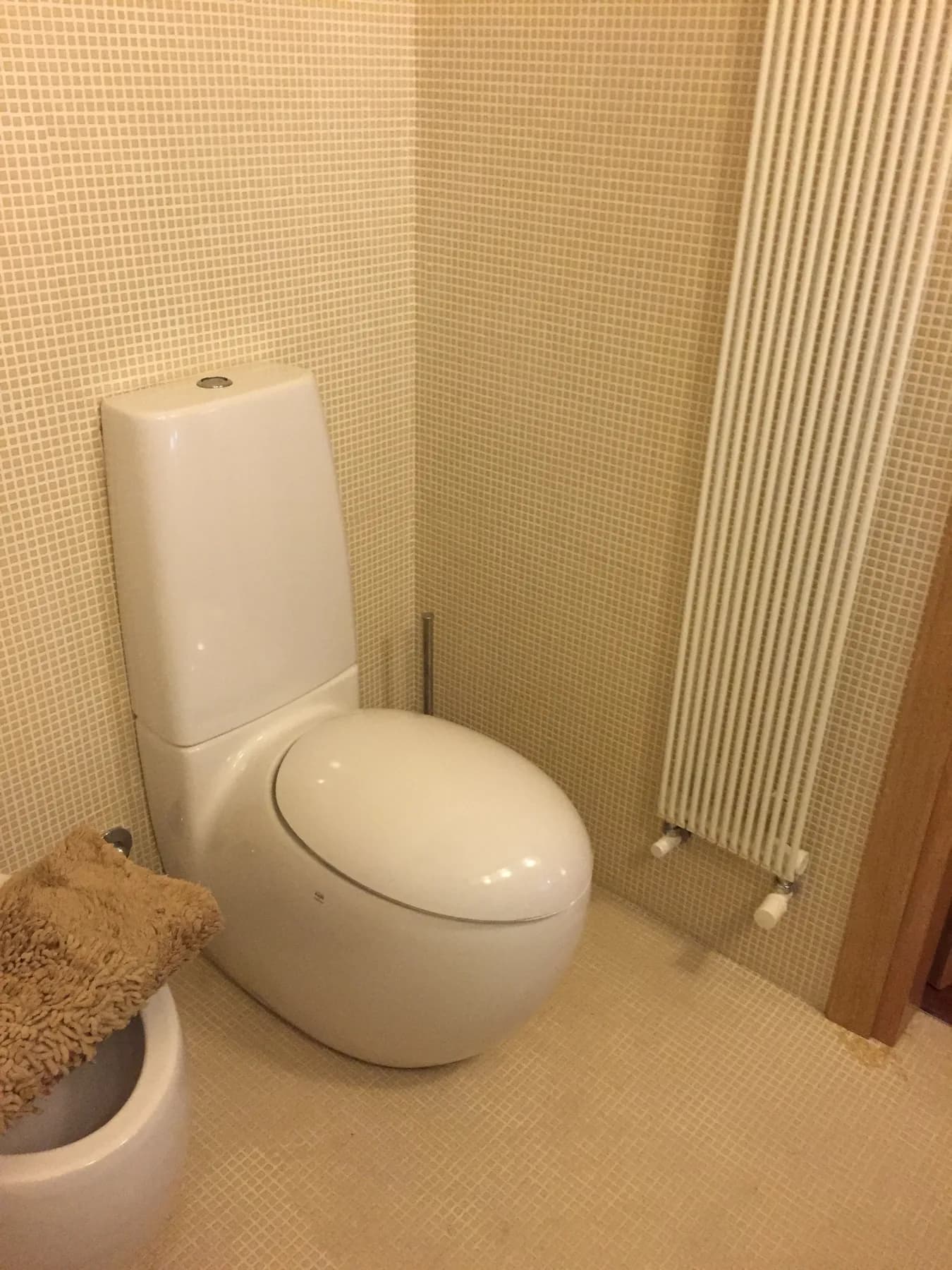 WC suspendu et radiateur sèche-serviettes vertical